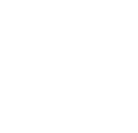 The Survey Association